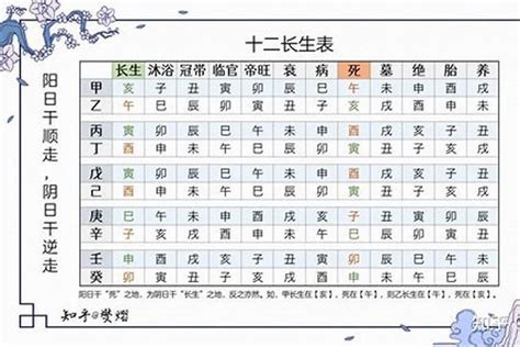 地支十二長生|八字十二長生解讀——長生